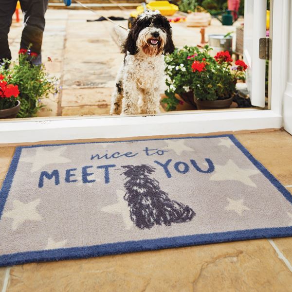 Meet You Doormat - Blue